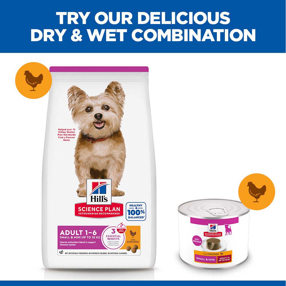 Hills Science Plan Adult Small & Mini Wet Dog Food - Chicken - 12x200g Cans