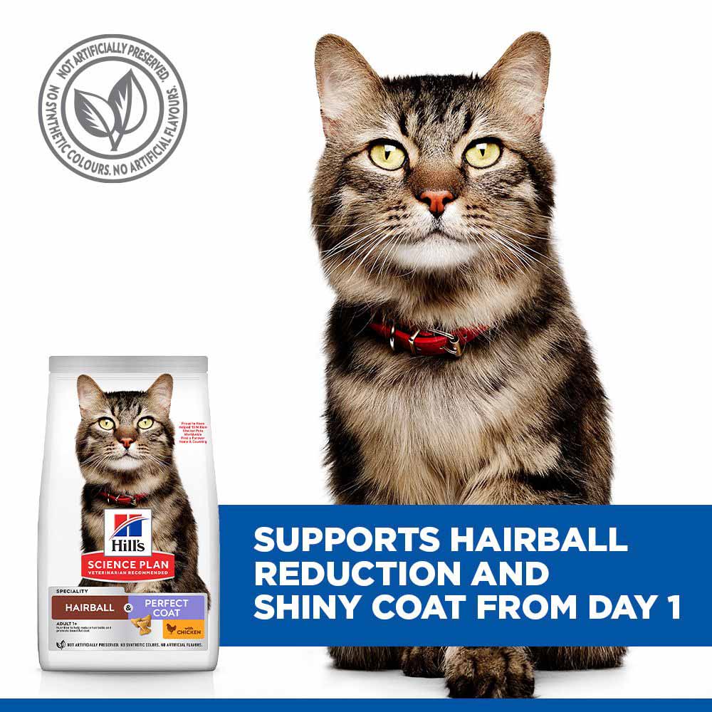 Hills Science Plan Hairball & Perfect Coat Adult Dry Cat Food - Chicken