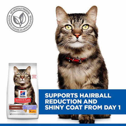 Hills Science Plan Hairball & Perfect Coat Adult Dry Cat Food - Chicken
