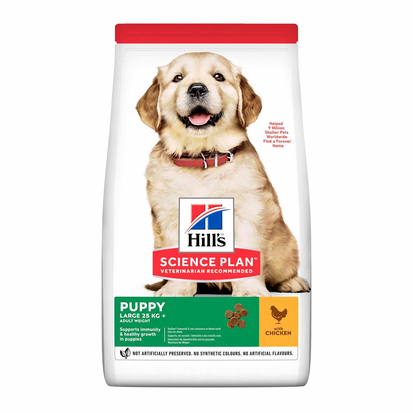 Hills Science Plan Large Breed Puppy Dry Dog Food - Chicken