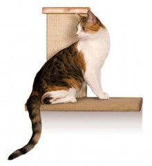 SmartCat Sky Wall Climber