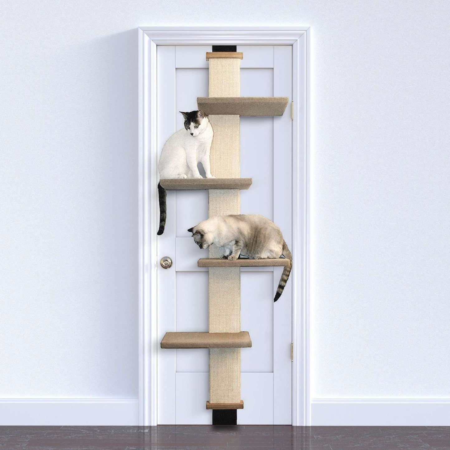 SmartCat Door Climber