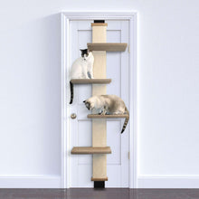 SmartCat Door Climber