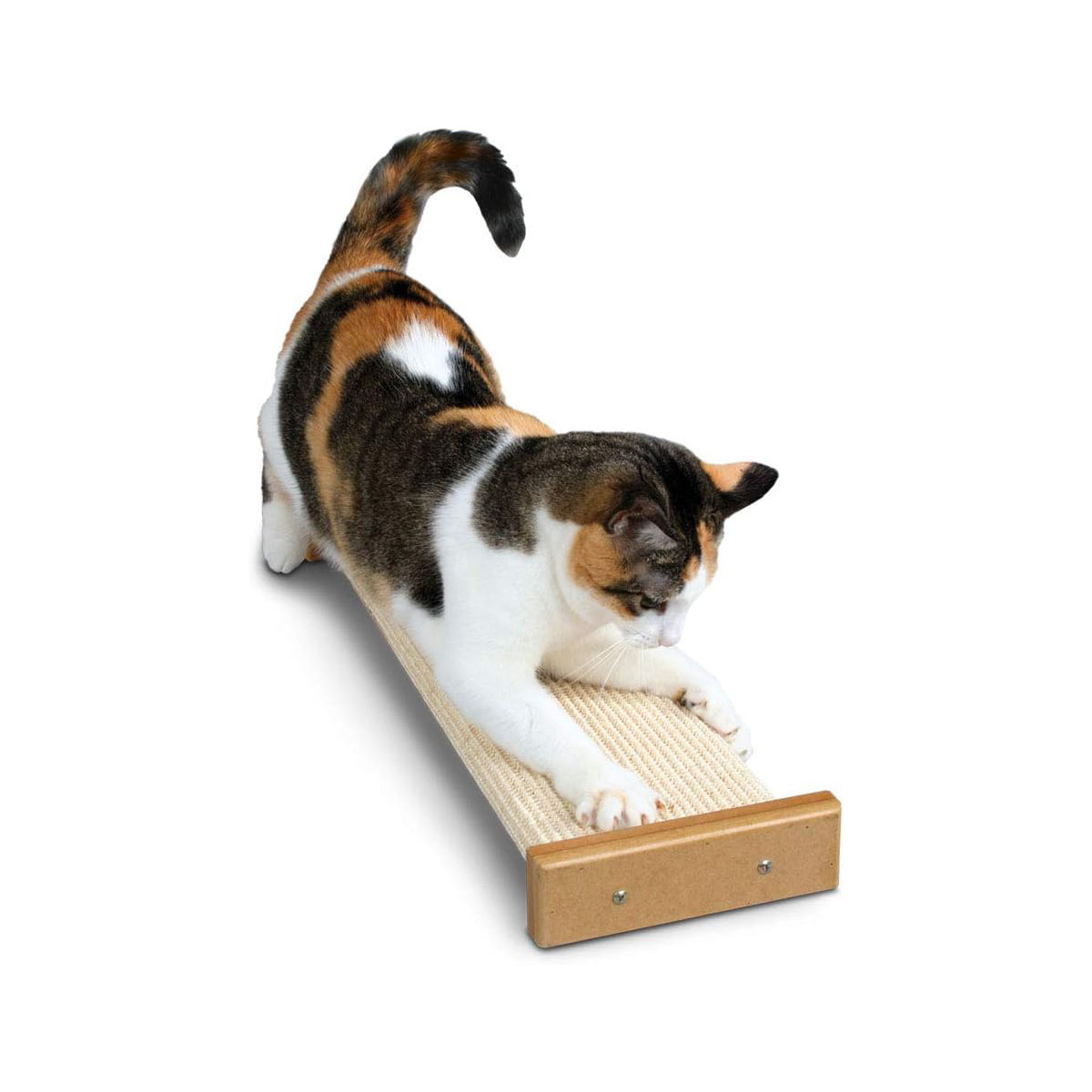 SmartCat Bootsies Combination Scratcher