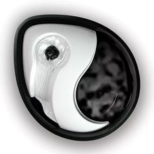 Pioneer Pet Raindrop Plastic Pet Fountain - 1.8 Litres