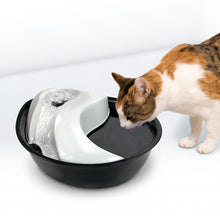 Pioneer Pet Raindrop Plastic Pet Fountain - 1.8 Litres