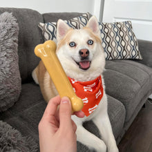 Nylabone Peanut Butter Extreme Bone - Medium