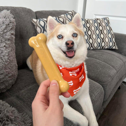 Nylabone Peanut Butter Extreme Bone - Large
