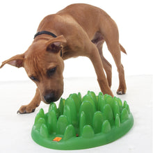 Green Slow Dog Feeder