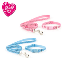 Ancol Small Bite Paw & Bone Collar & Lead Set - 20-30cm - Blue