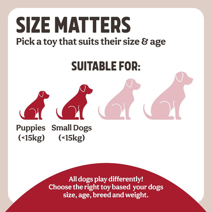 Rosewood Natural Nippers Shake & Rattle Dog Toy