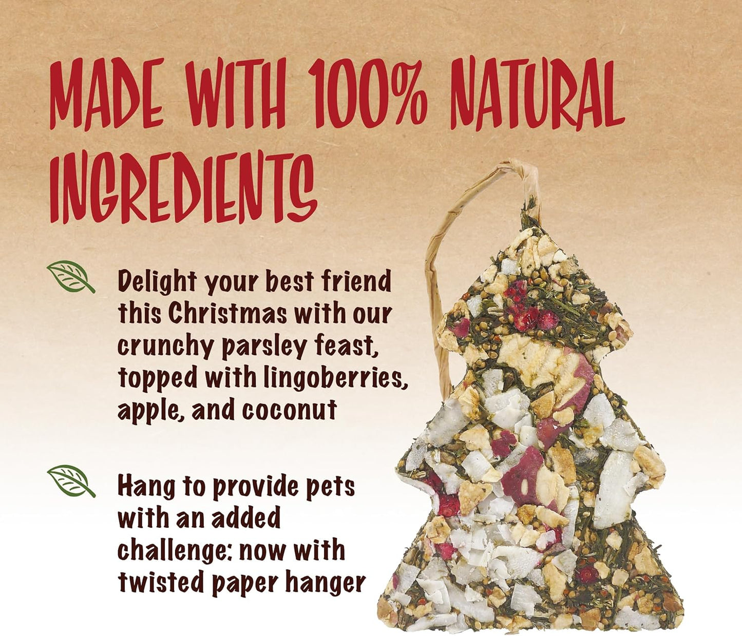 Rosewood Naturals Christmas Fruit Tree Treat for Small Pets