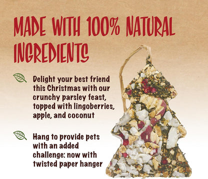 Rosewood Naturals Christmas Fruit Tree Treat for Small Pets