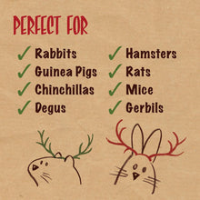 Rosewood Naturals Christmas Fruit Tree Treat for Small Pets
