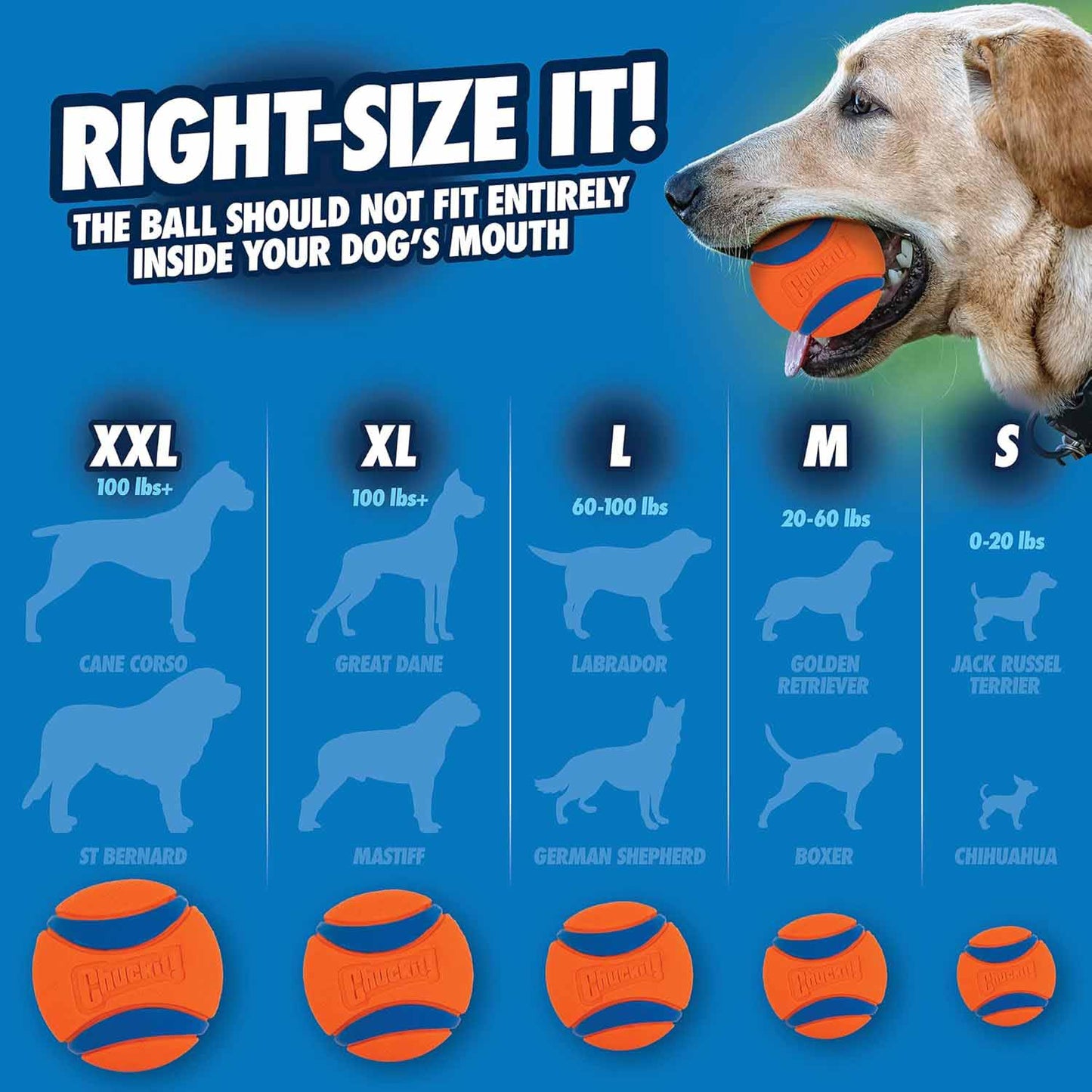 Chuckit! Ultra Ball Medium 2.5in Pack of 2