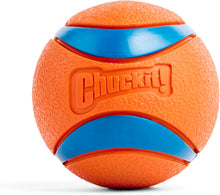 Chuckit! Ultra Ball Large 3in