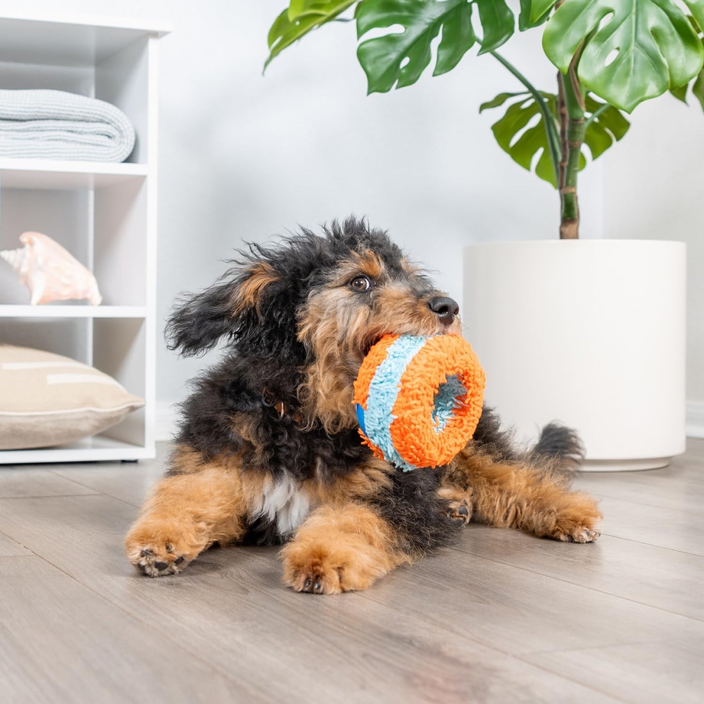 Chuckit! Indoor Roller Dog Ball