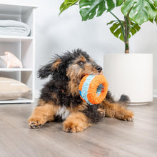 Chuckit! Indoor Roller Dog Ball