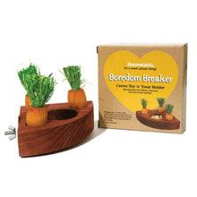 Rosewood Carrot Toy n Treat Holder