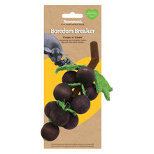 Rosewood Grape n Gnaw chew toy