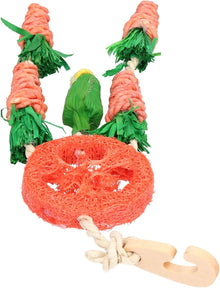 Rosewood Carrot Dream Catcher