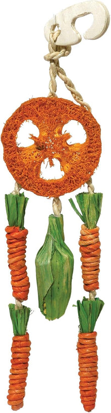 Rosewood Carrot Dream Catcher