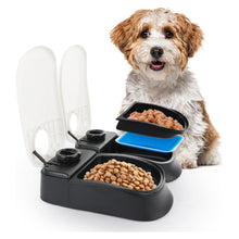 2 Meal Automatic Pet Feeder by Petplanet