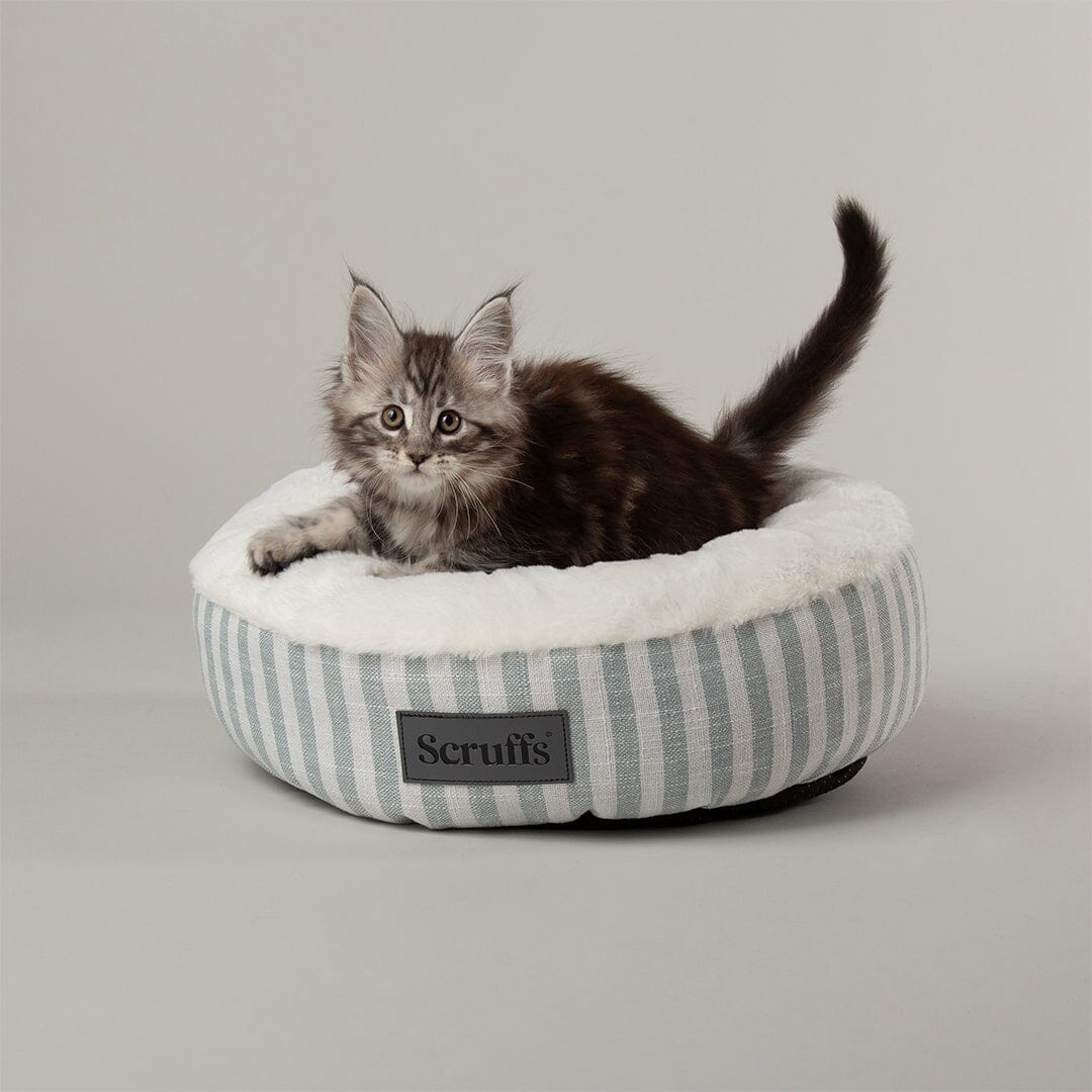 Scruffs Coastal Cat Bed - Green