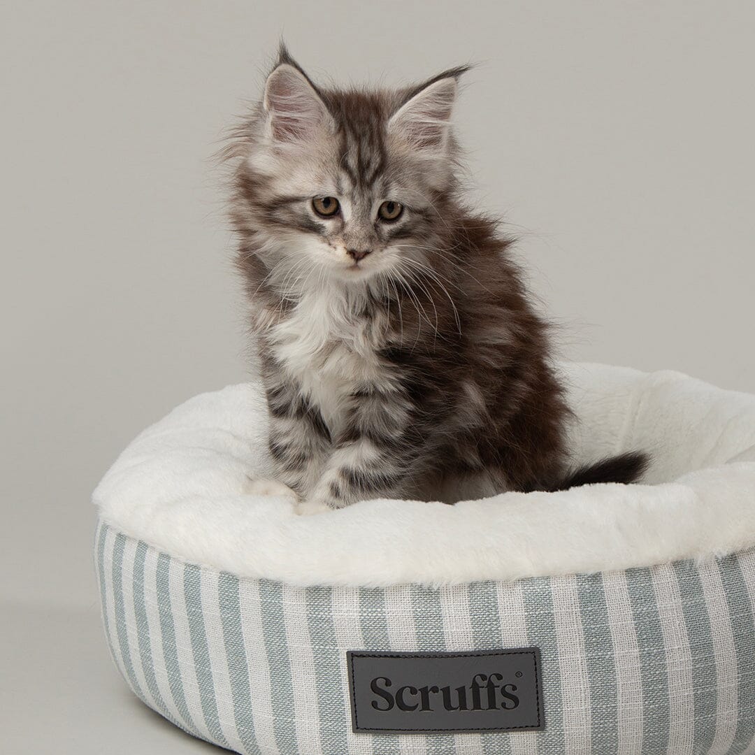 Scruffs Coastal Cat Bed - Green