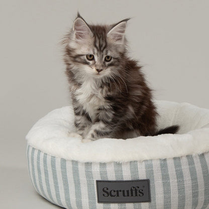 Scruffs Coastal Cat Bed - Green
