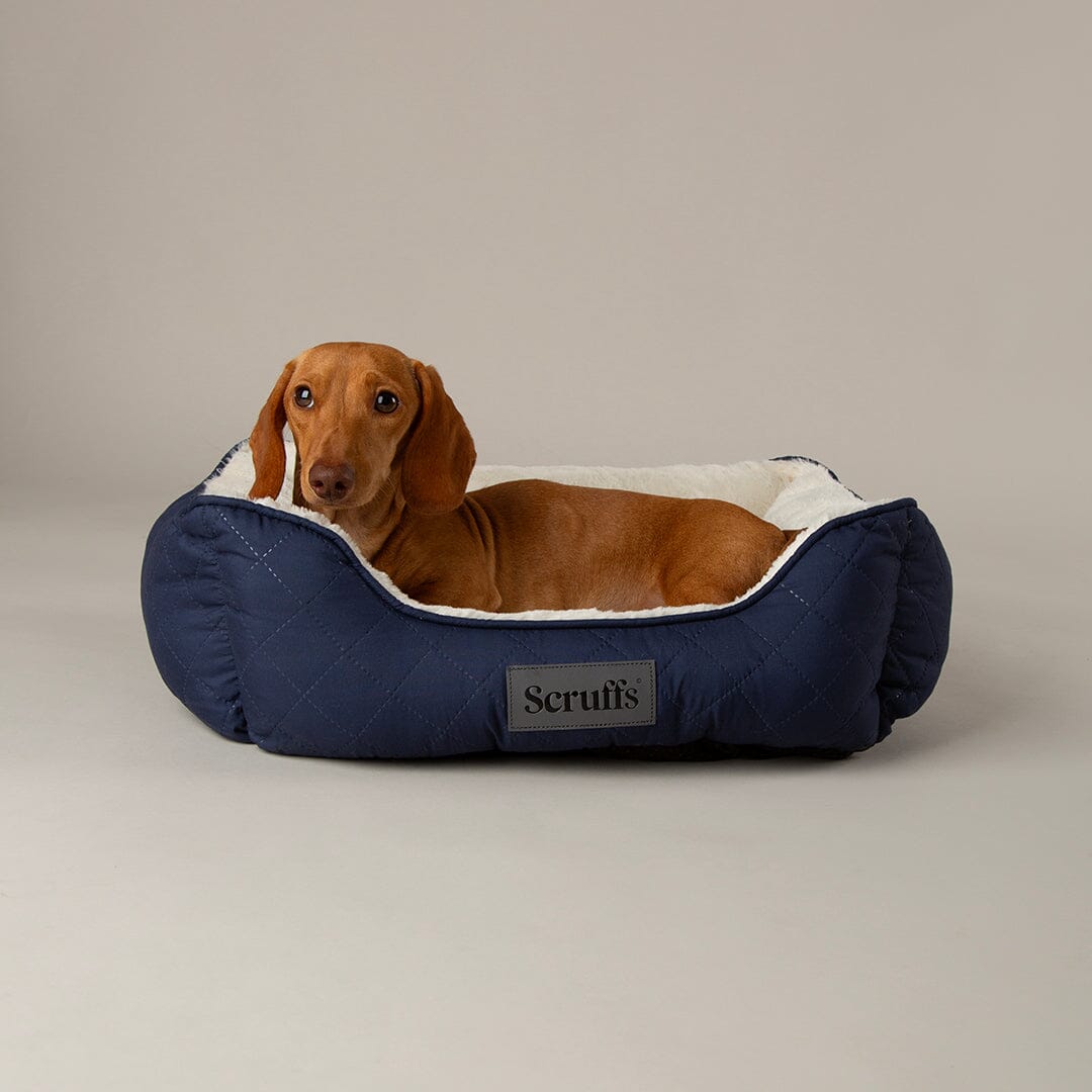 Scruffs Wilton Box Bed - Navy Blue
