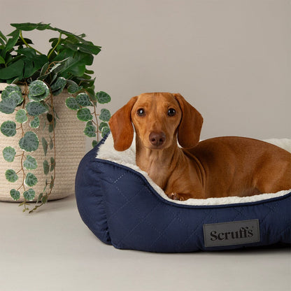 Scruffs Wilton Box Bed - Navy Blue