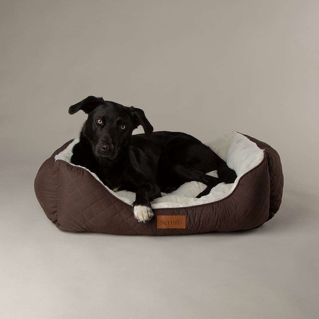 Scruffs Wilton Box Bed - Chocolate Brown