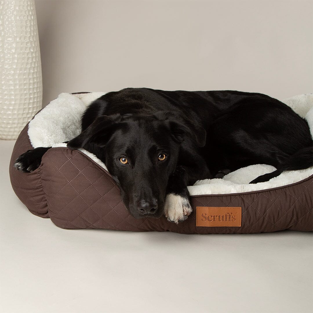 Scruffs Wilton Box Bed - Chocolate Brown