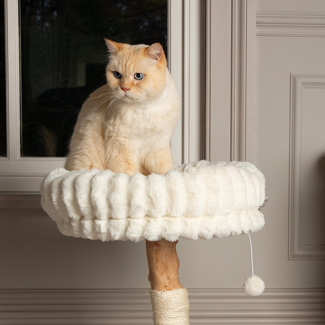 Scruffs Alpine Appalachians Cat Tree - Cream
