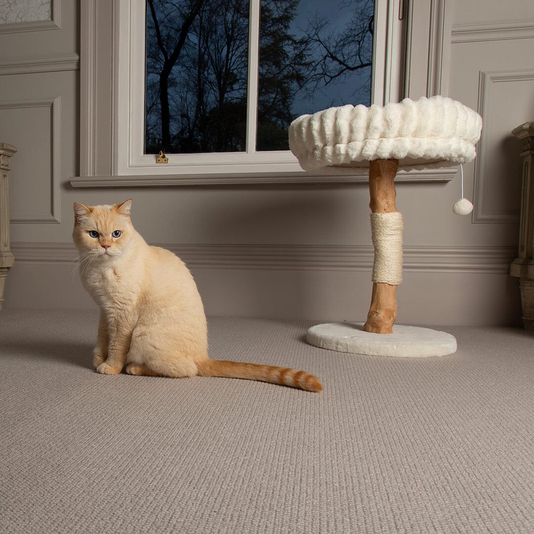 Scruffs Alpine Appalachians Cat Tree - Cream