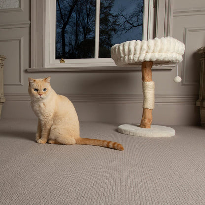 Scruffs Alpine Appalachians Cat Tree - Cream