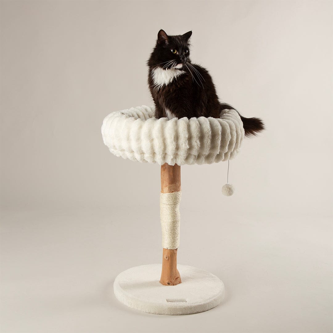 Scruffs Alpine Appalachians Cat Tree - Cream