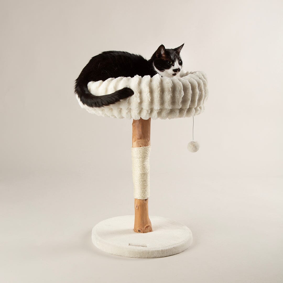 Scruffs Alpine Appalachians Cat Tree - Cream