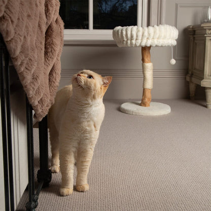 Scruffs Alpine Appalachians Cat Tree - Cream