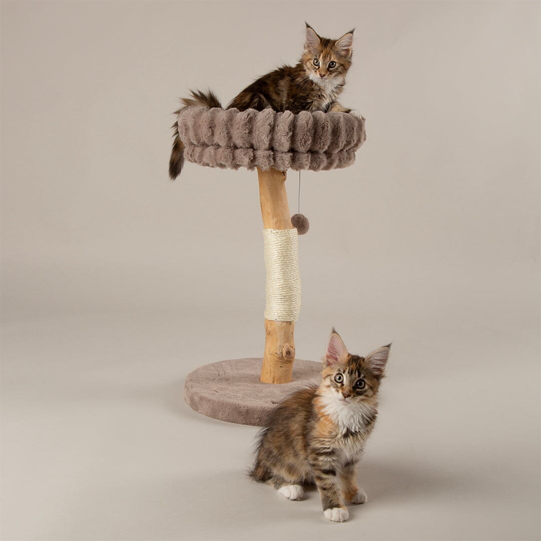 Scruffs Alpine Appalachians Cat Tree - Taupe