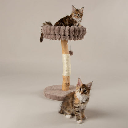 Scruffs Alpine Appalachians Cat Tree - Taupe