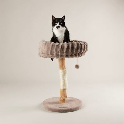 Scruffs Alpine Appalachians Cat Tree - Taupe