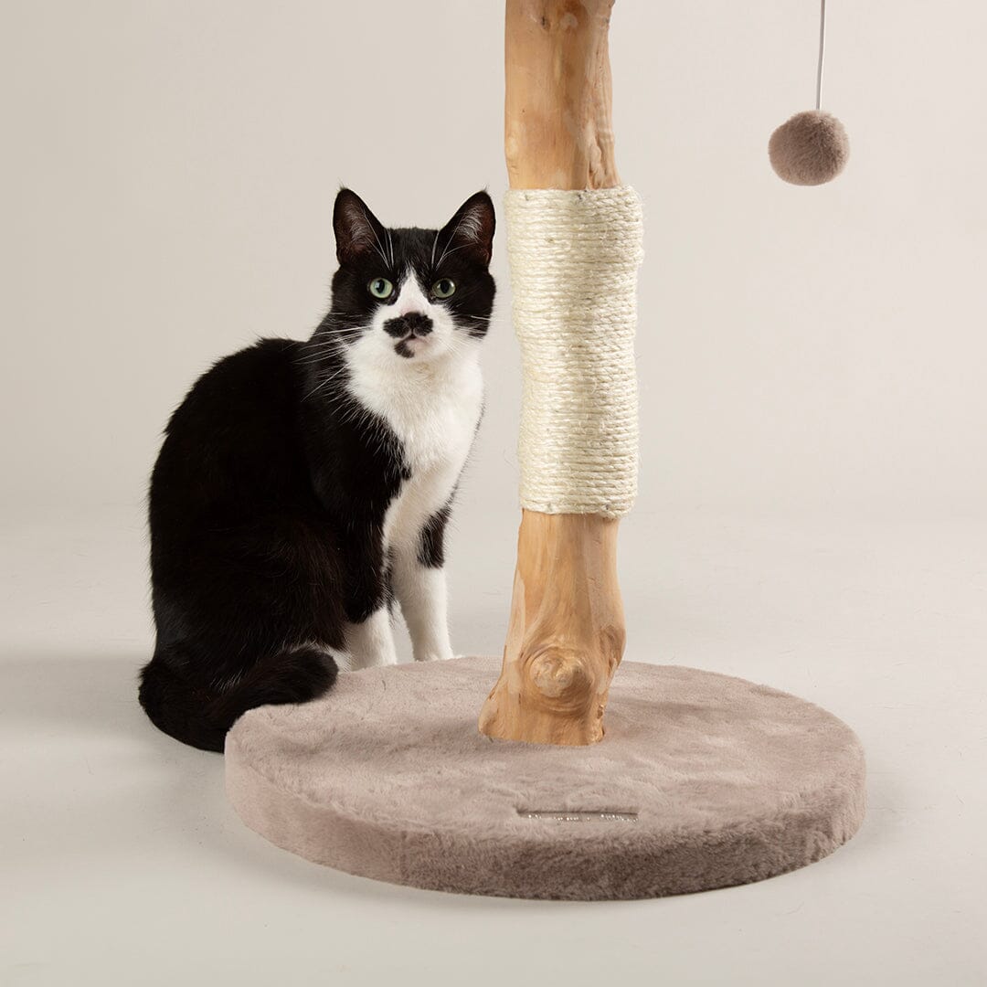 Scruffs Alpine Appalachians Cat Tree - Taupe