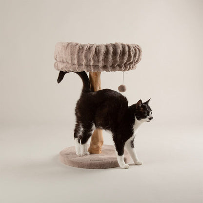 Scruffs Alpine Appalachians Cat Tree - Taupe