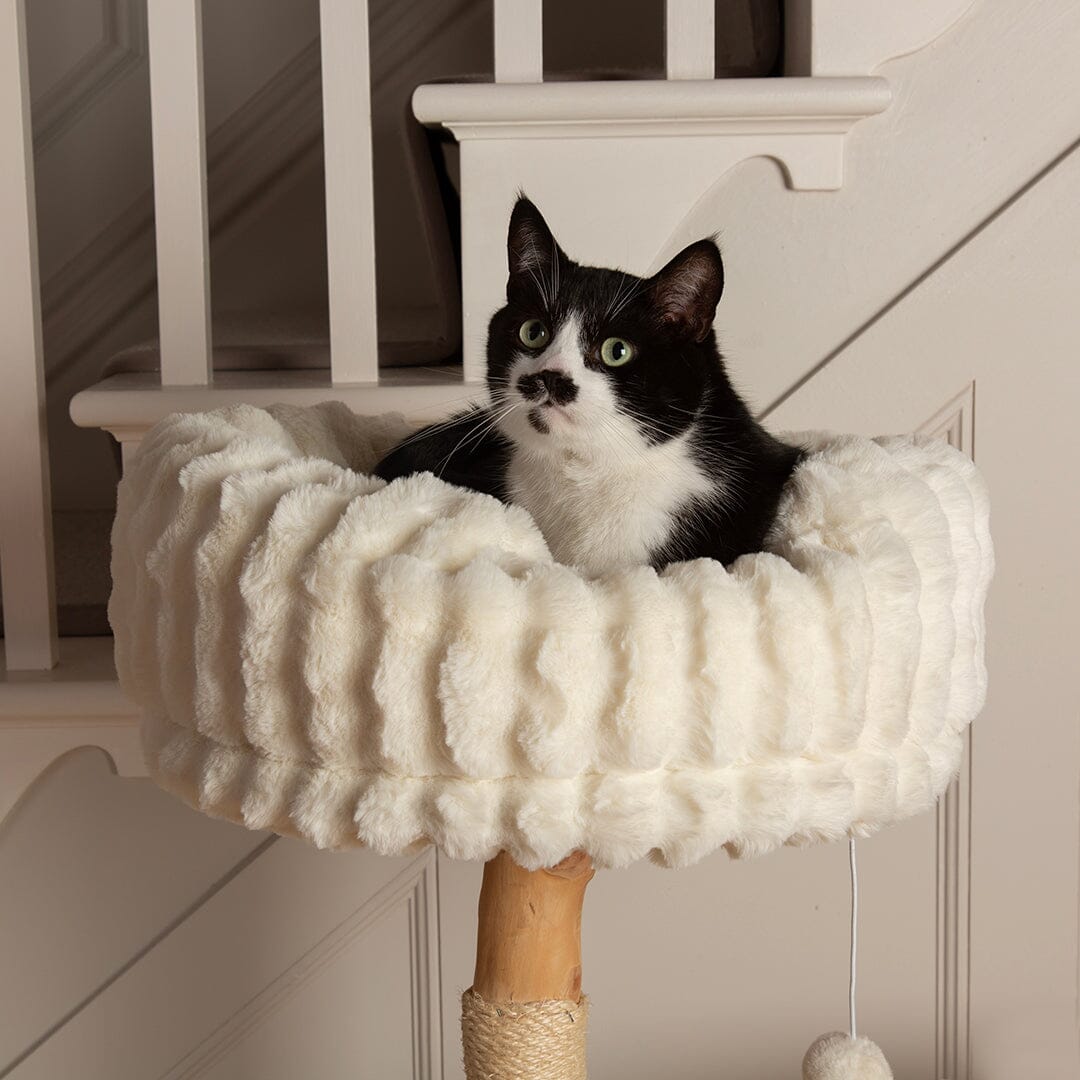 Scruffs Alpine Colorado Cat Tree - Cream