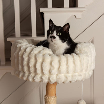 Scruffs Alpine Colorado Cat Tree - Cream