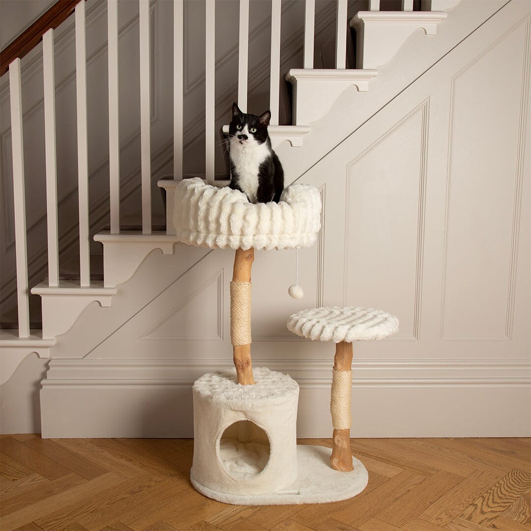 Scruffs Alpine Colorado Cat Tree - Cream