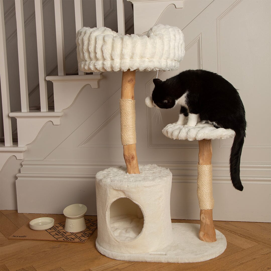 Scruffs Alpine Colorado Cat Tree - Cream