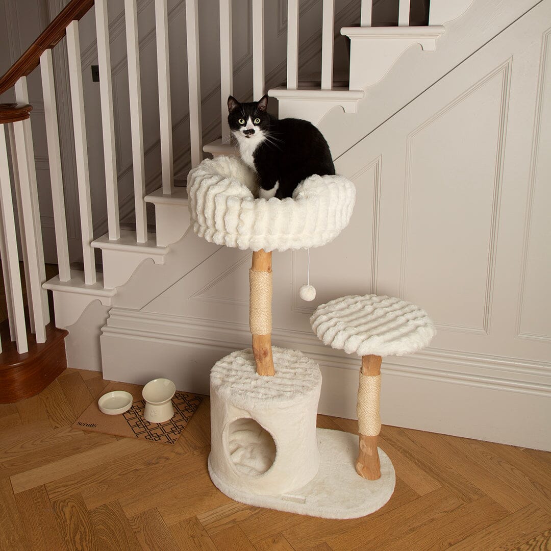 Scruffs Alpine Colorado Cat Tree - Cream